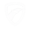Futmesa padrão CBFTM
